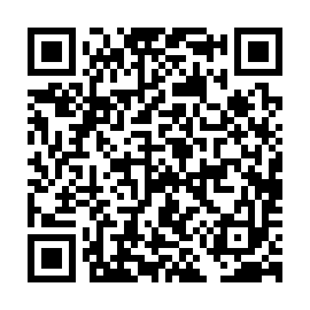 QR code for DM0393