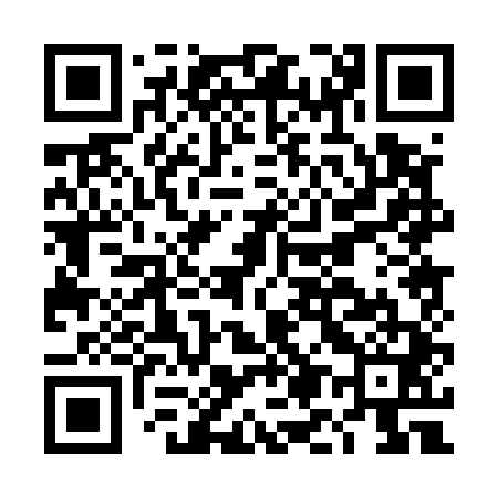 QR code for DM0541