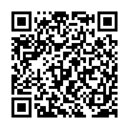 QR code for DM1313