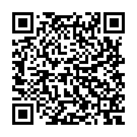 QR code for DM2951