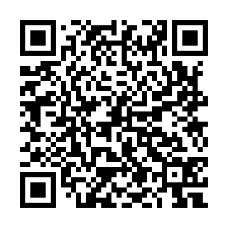 QR code for DM3934