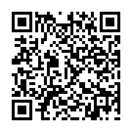 QR code for DM4729