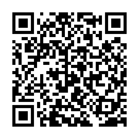 QR code for DM9519