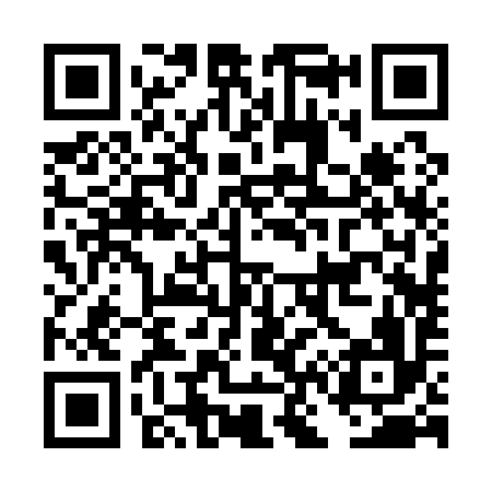 QR code for DN2196