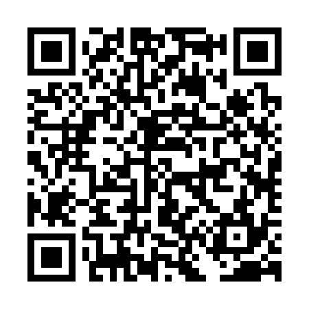 QR code for DN2334