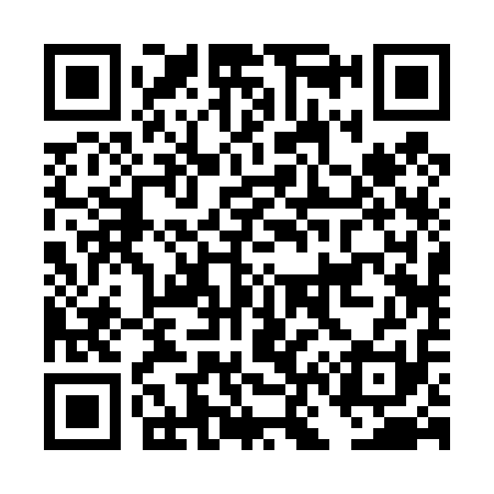 QR code for DN2411