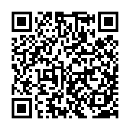 QR code for DN2481
