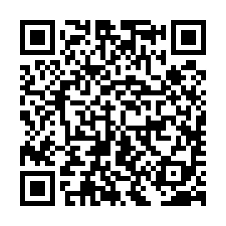 QR code for DN2599