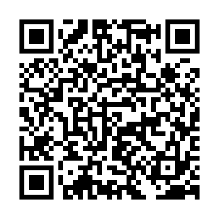 QR code for DN3933