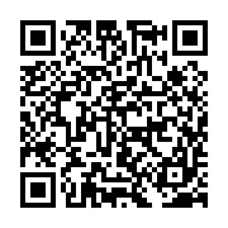 QR code for DN9197