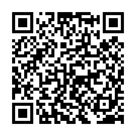 QR code for DN9491