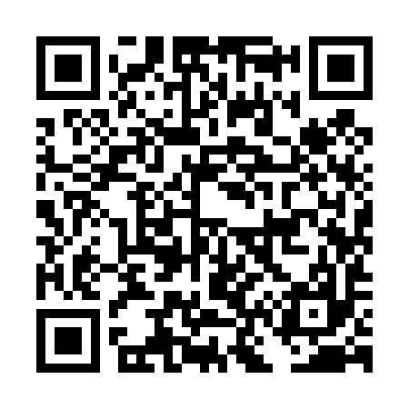 QR code for DN9497