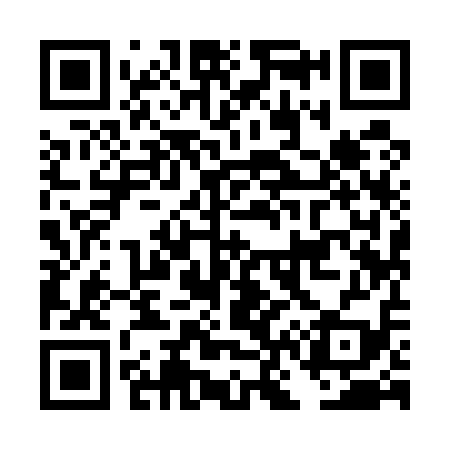 QR code for DN9519