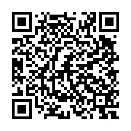 QR code for DO0453