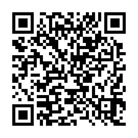 QR code for DP0313