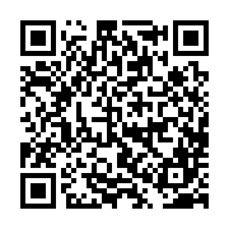 QR code for DP0386