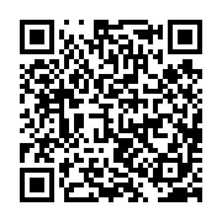 QR code for DP0690