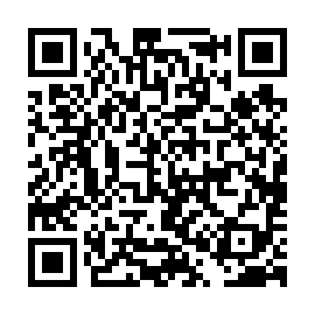 QR code for DP0699