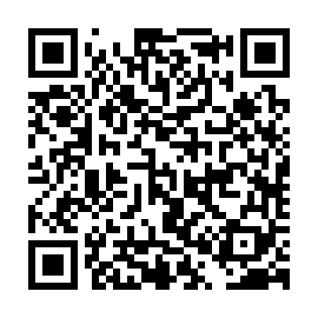 QR code for DP2369