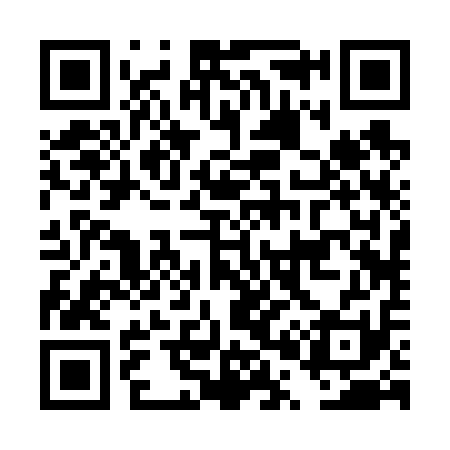 QR code for DP2611