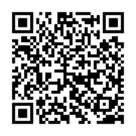 QR code for DP2739