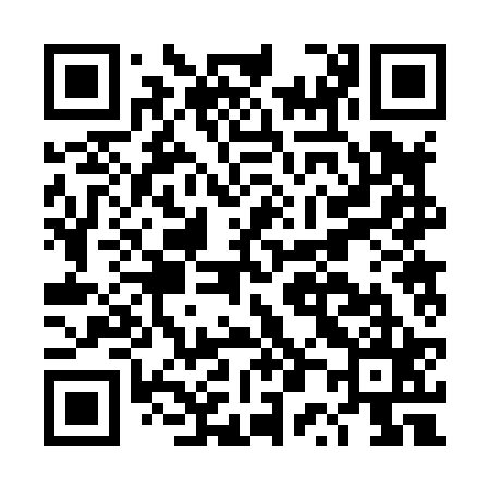 QR code for DP2825