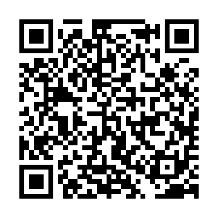 QR code for DP2911