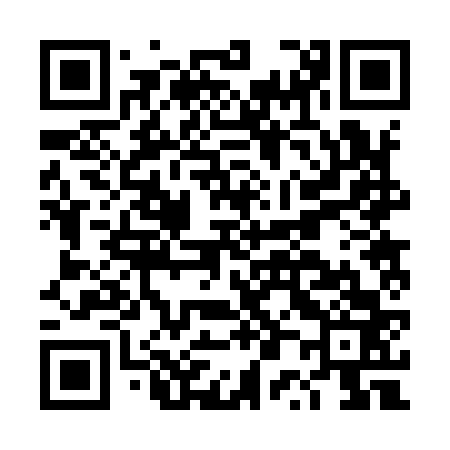 QR code for DP2963