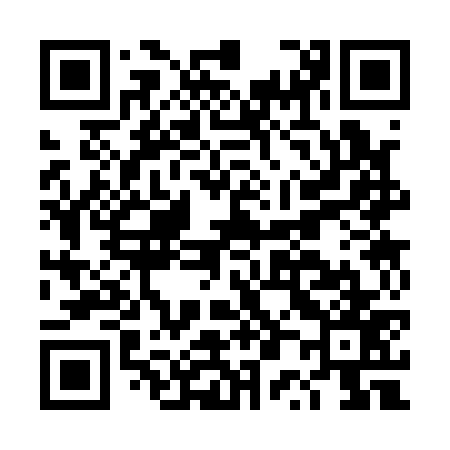 QR code for DP3177