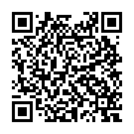 QR code for DP3317