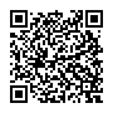 QR code for DP3383