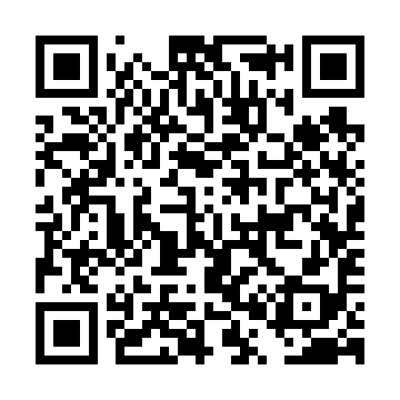 QR code for DP3698
