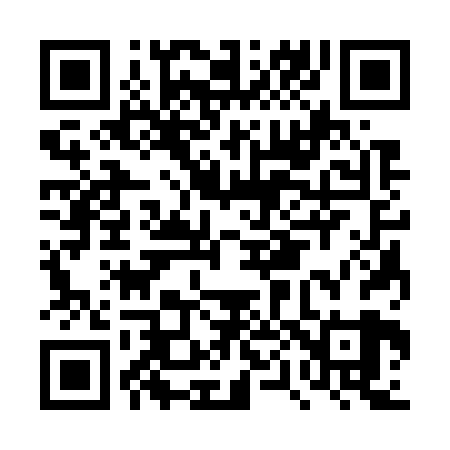 QR code for DP3729