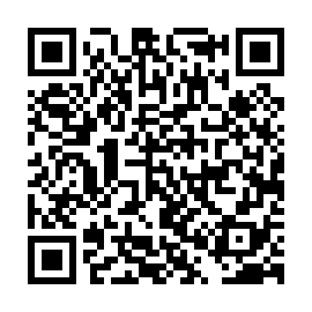 QR code for DP4078