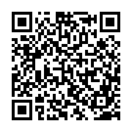 QR code for DP4166
