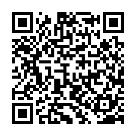 QR code for DP4335