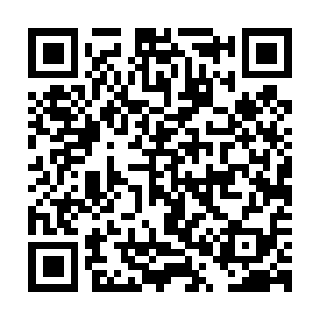 QR code for DP4419