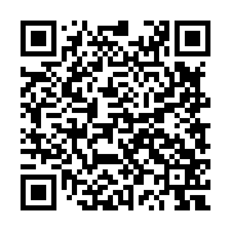 QR code for DP4863