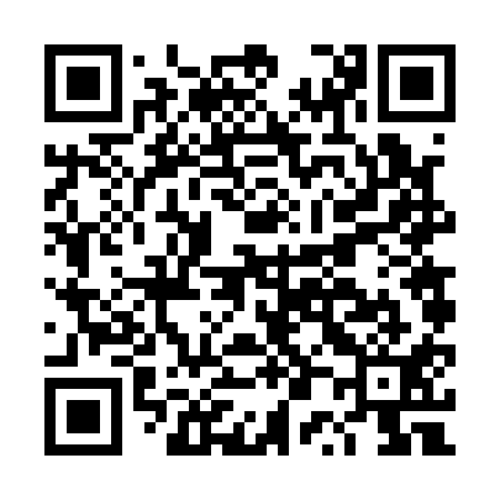 QR code for DP6111