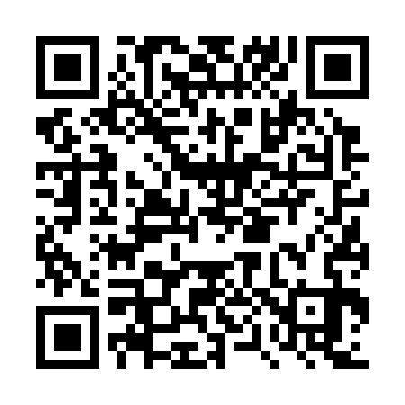 QR code for DP6333