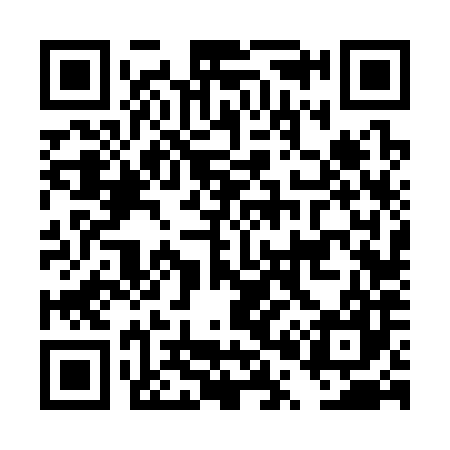 QR code for DP6387