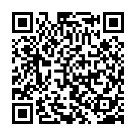 QR code for DP9138