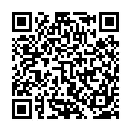QR code for DP9217