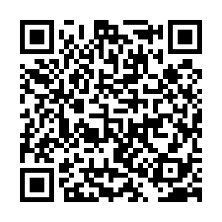 QR code for DP9538