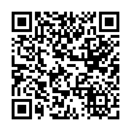 QR code for DQ0336