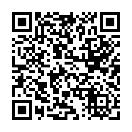 QR code for DQ0392