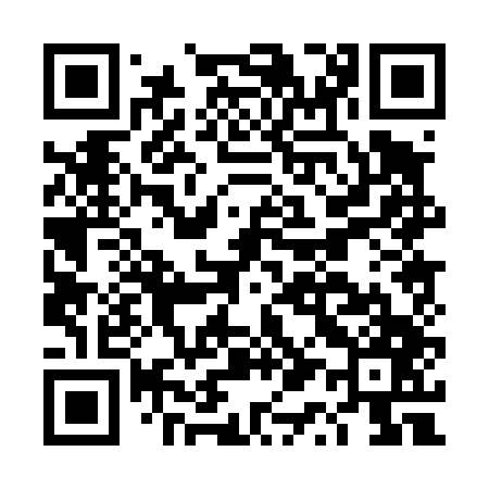 QR code for DQ0447