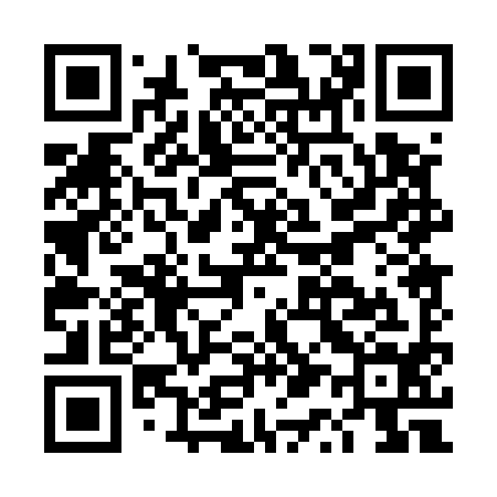 QR code for DQ0594