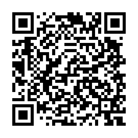 QR code for DQ2491
