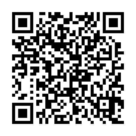 QR code for DQ4234